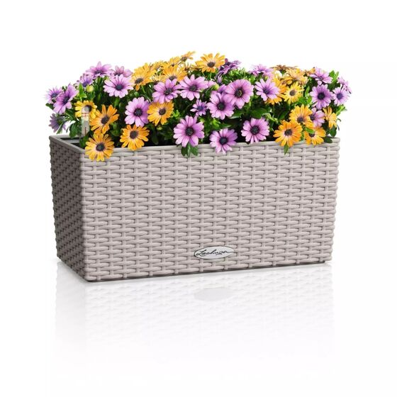 LECHUZA Balconera Cottage 40 Ζαρντινιέρα 40x19x19cm Αυτοποτιζόμενη με Δοχείο Φύτευσης Sand Brown Γερμανίας