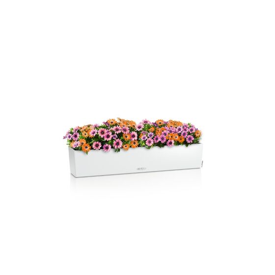 LECHUZA Balconera Color 100 Ζαρντινιέρα 100x19x19cm Αυτοποτιζόμενη με Δοχείο Φύτευσης Λευκή Γερμανίας