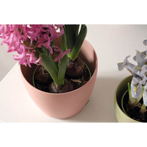 LECHUZA Cachepot Deco 10 Επιτραπέζια Γλάστρα Ø11x10cm Magnolia Γερμανίας