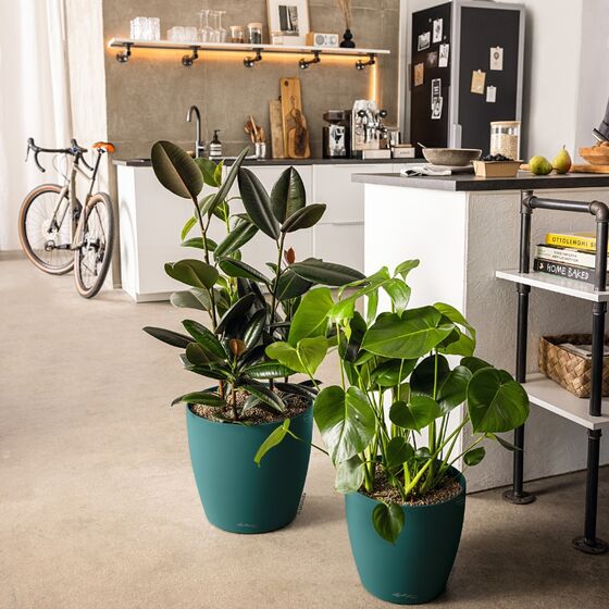 LECHUZA Cachepot Deco 10 Επιτραπέζια Γλάστρα Ø11x10cm Pine Γερμανίας