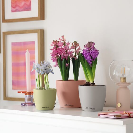 LECHUZA Cachepot Deco 21 Επιτραπέζια Γλάστρα Ø22x21cm Magnolia Γερμανίας