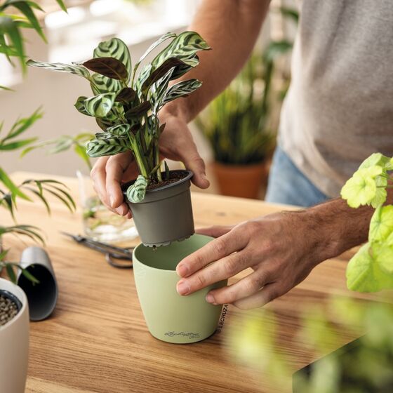 LECHUZA Cachepot Deco 35 Επιτραπέζια Γλάστρα Ø35x33cm Linden Γερμανίας