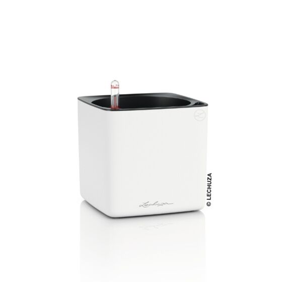 LECHUZA CUBE Premium 16 Επιτραπέζια Γλάστρα 17x17x16cm Αυτοποτιζόμενη με Εσωτερικό Δοχείο Λευκή Ματ Γερμανίας