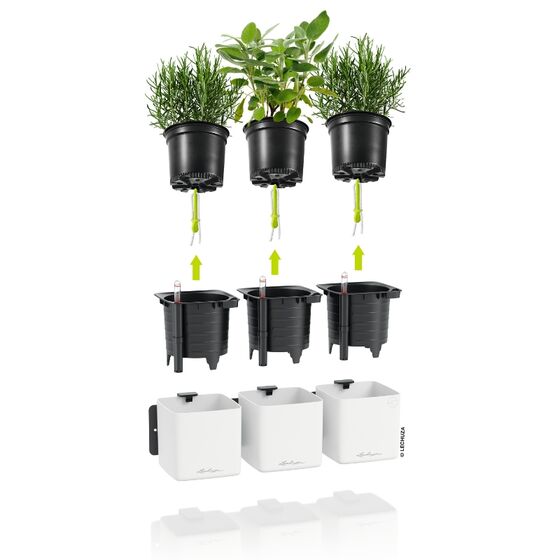 LECHUZA Green Wall Premium Επιτοίχια Γλάστρα 48x6x14cm Αυτοποτιζόμενη με Εσωτερικά Δοχεία Λευκή Mατ Γερμανίας