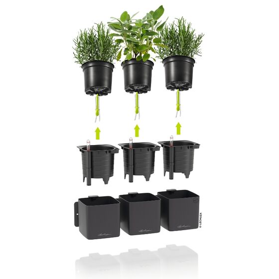 LECHUZA Green Wall Premium Επιτοίχια Γλάστρα 48x6x14cm Αυτοποτιζόμενη με Εσωτερικά Δοχεία Basalt Grey Mατ Γερμανίας