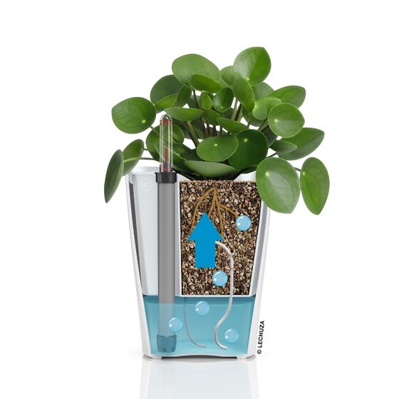 LECHUZA Mini Deltini Επιτραπέζια Γλάστρα 10x10x13cm Αυτοποτιζόμενη με Δοχείο Φύτευσης Λευκή Ματ Γερμανίας