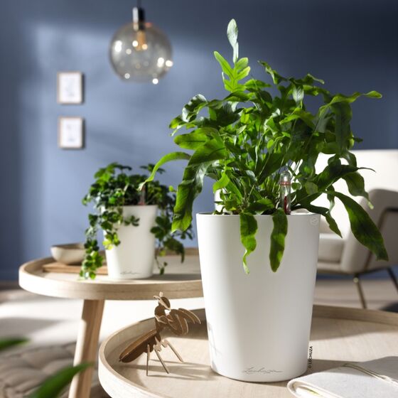 LECHUZA Mini Deltini Επιτραπέζια Γλάστρα 10x10x13cm Αυτοποτιζόμενη με Δοχείο Φύτευσης Scarlet Red Ματ Γερμανίας