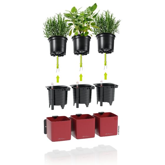 LECHUZA Green Wall Premium Επιτοίχια Γλάστρα 48x6x14cm Αυτοποτιζόμενη με Εσωτερικά Δοχεία Scarlet Red Mατ Γερμανίας