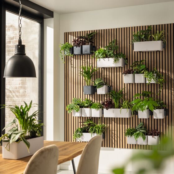 LECHUZA Green Wall Premium Επιτοίχια Γλάστρα 48x6x14cm Αυτοποτιζόμενη με Εσωτερικά Δοχεία Scarlet Red Mατ Γερμανίας