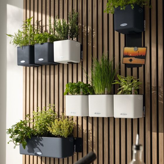 LECHUZA Green Wall Premium Επιτοίχια Γλάστρα 48x6x14cm Αυτοποτιζόμενη με Εσωτερικά Δοχεία Basalt Grey Mατ Γερμανίας
