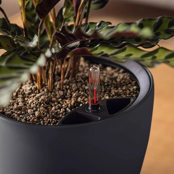 LECHUZA Classico Color LS 50 Επιτραπέζια Γλάστρα Ø49x46cm Αυτοποτιζόμενη με Δοχείο Φύτευσης Ανθρακί Ματ Γερμανίας