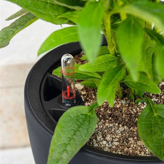 LECHUZA Classico Color LS 50 Επιτραπέζια Γλάστρα Ø49x46cm Αυτοποτιζόμενη με Δοχείο Φύτευσης Λευκή Ματ Γερμανίας