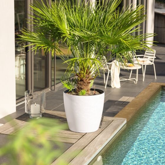 LECHUZA Classico Color LS 50 Επιτραπέζια Γλάστρα Ø49x46cm Αυτοποτιζόμενη με Δοχείο Φύτευσης Sand Brown Ματ Γερμανίας