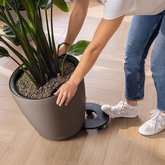 LECHUZA Classico Color LS 50 Επιτραπέζια Γλάστρα Ø49x46cm Αυτοποτιζόμενη με Δοχείο Φύτευσης Nutmeg Ματ Γερμανίας