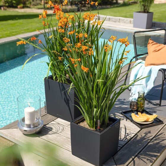 LECHUZA Cube Color 40 Επιδαπέδια Γλάστρα Κύβος 40x40x40cm Αυτοποτιζόμενη με Δοχείο Slate Γερμανίας