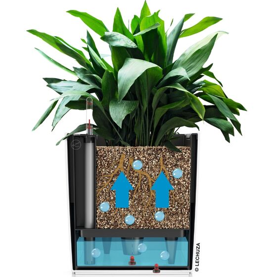 LECHUZA Cube Color 30 Επιδαπέδια Γλάστρα Κύβος 30x30x30cm Αυτοποτιζόμενη με Δοχείο Nutmeg Γερμανίας