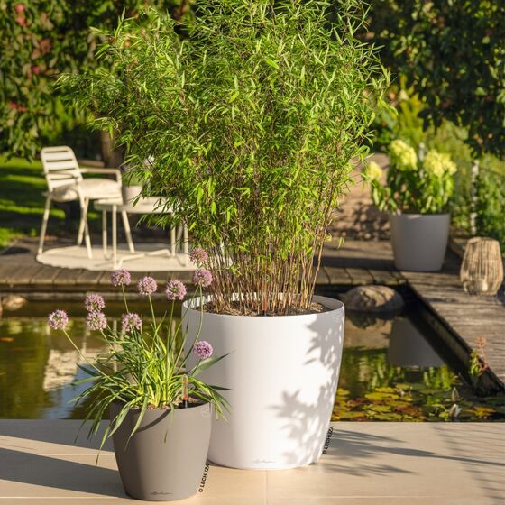 LECHUZA Classico 50 Επιδαπέδια Γλάστρα Ø50x46cm Αυτοποτιζόμενη Sand Brown Γερμανίας