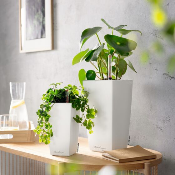 LECHUZA Mini-Cubi Επιτραπέζια Γλάστρα 9.5x9.5x18.5cm Αυτοποτιζόμενη με Δοχείο Φύτευσης Λευκή Ματ Γερμανίας