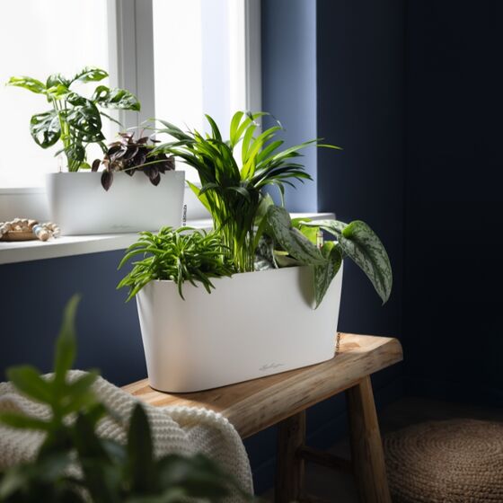 LECHUZA Delta10 Επιτραπέζια Γλάστρα 30x11x13cm Αυτοποτιζόμενη με Δοχείο Φύτευσης Κόκκινη Ματ Γερμανίας RedDot Award 2009/Designpreis Deutchland 2010