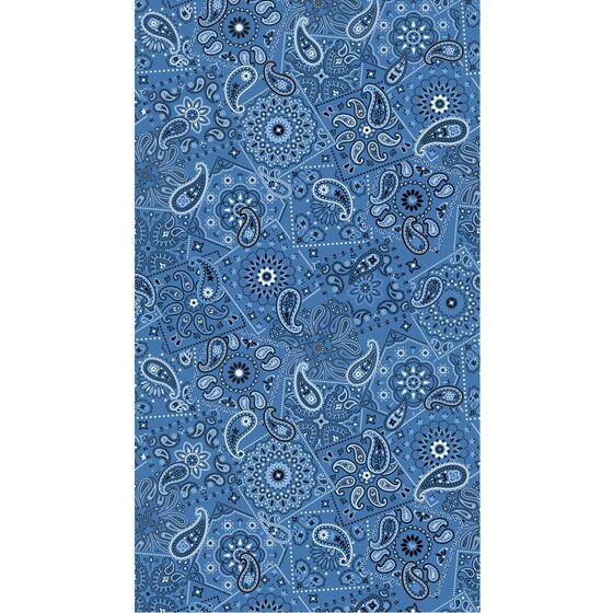 Palamaiki Πετσέτα Θαλάσσης Beach Collection 90x160 EM39 Μπλε
