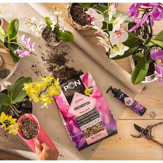 LECHUZA-ORCHIDPON Υπόστρωμα Φύτευσης Ορχιδέας 6lt για Γλάστρες Lechuza