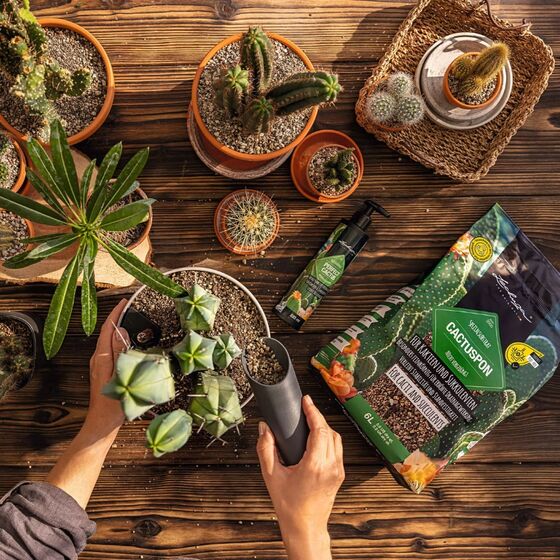 LECHUZA CACTUSPON Υπόστρωμα Φύτευσης 6lt για Κάκτους και Παχύφυτα για Γλάστρες Lechuza