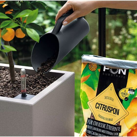 LECHUZA CITRUSPON Υπόστρωμα Φύτευσης 25lt με Λίπασμα για Εσπεριδοειδή για Γλάστρες Lechuza