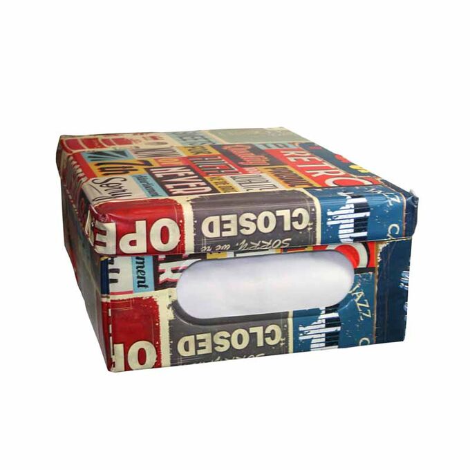 ORDINETT ITALY Κουτί Αποθήκευσης Ρούχων 50x40x25cm 50lt 100% PEVA 0.90kg BOX LARGE PUB